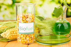 Canbus biofuel availability